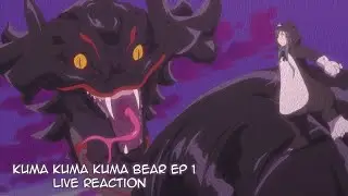 Kuma Kuma Kuma Bear Ep 1 Live Reaction