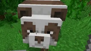 Утренняя Трансляция!