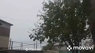 Выпал снег и на следующий день ростаил .