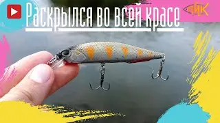 Этот воблер Раскрылся во всей красе! как поймать щуку на карьерах.