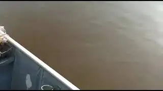 objeto não indentificado encontrado em rio