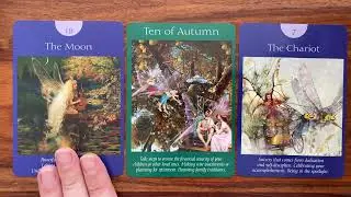 Overcome your fears! 11 December 2021 Your Daily Tarot Reading with Gregory Scott
