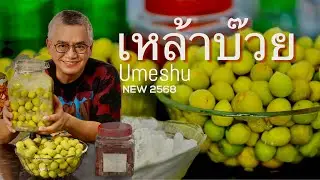 เหล้าบ๊วย(Umeshu ) สอนทำเหล้าบ๊วย ทำง่ายเก็บได้นานๆ ในต้นฤดูนี้ และเปิดโหล (2562)ชิม