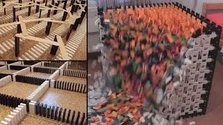 Domino Projects (2) | 10,000 dominoes