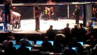 Arianny Celeste @ UFC 139