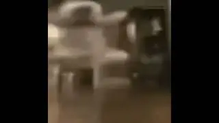 dog. #meme #memes #funnyvideo #funnyvideos #dog #shitpost #brainfart #wind