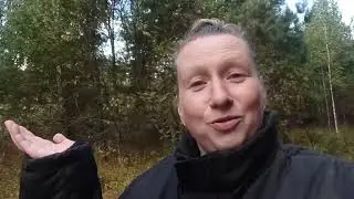 Первый раз за 20 лет такой 🍄грибной улов!!!!