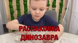 РАСПАКОВКА 🤗 откапывем динозавра🦖игрушка с КБ за 80 рублей