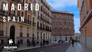 Madrid Revealed: A Mesmerizing Walking Tour of Spain's Capital