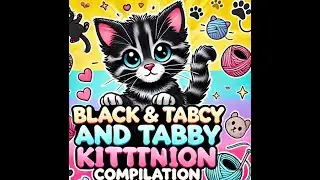 cute kittens  compilation (funniness supreme)