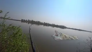 В этих корягах.. Зверские удары!!  Рыбалка на спиннинг с берега.