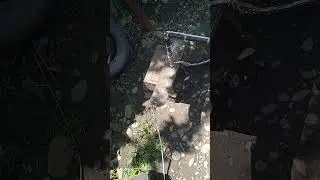 волокуша#драга#драчка#снасть для ловли рака#