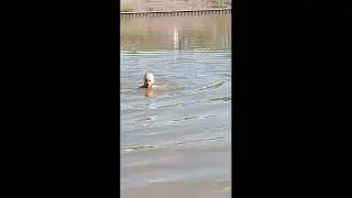 Река Белая  Уфы! Купаемся  в Апреле=)
