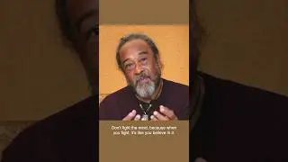 Don’t Fight the Mind