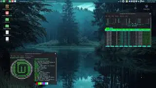 ripples xwinwrap live wallpaper in Linux Mint MATE
