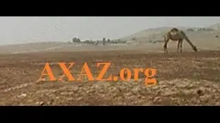 98. Составные слова в иврите. Урок ведет Марк Харах (Ниран). Изучение иврита