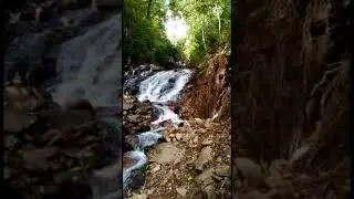 Cascada Amicalola Falls