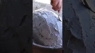 Creative way to cook a goose