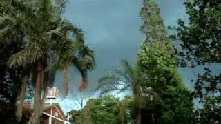 MOV01501