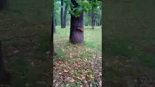 2 часть в парке в Умани!