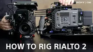 How to Rig the Rialto 2 with legendary 1st AC Dan Ming