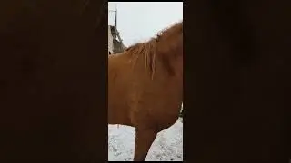 С новым Годом Всех))