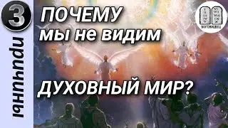 Почему мы не видим духовный мир? 3 примера.Максим Каскун