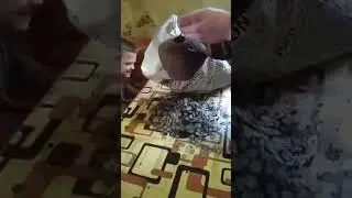 Клад чешуи  Горшок с серебром  Камрад нашёл невероятное