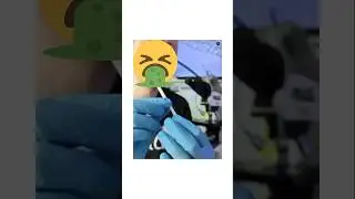 😬Что нашли в сигарете под микроскопом