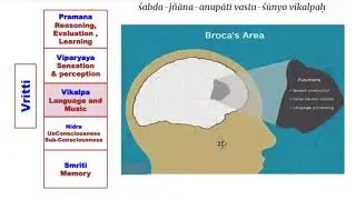 Cognitions and Vrittis