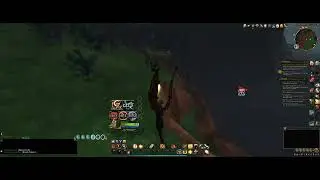 #1 WoW Dragonflight Bug: Healer mana resetting to 50k