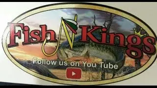 FISHNKINGS STICKER REVEAL