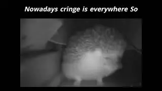 I Saved You From Cringe/Hedgehog Talking (better quality) Meme Template by @514MMemes