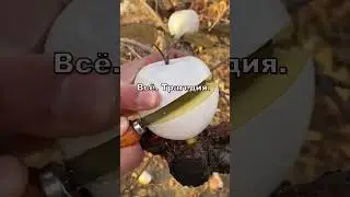 Анекдот про парня, девушку и отчима