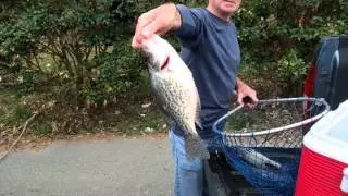 2016 03 25 14 53 13 Crappie into the cooler