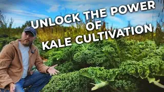 Kale Cultivation: Sustainable Tips from the Amazing Discoveries Farm!