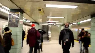 Ciência sem Fronteiras - Toronto - Caminho até a Universidade - 3