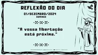 REFLEXÃO DO EVANGELHO - 01/12/2024