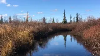 Хождение за Три Ручья. МикроПоход по ручью.