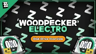 Woodpecker Electro (Disk Drive Overview) | Zenless Zone Zero