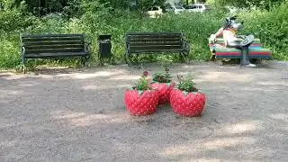 Фото-видео примеры с HotWav Cyber X Pro (G99, 12\256ГБ, куча камер, броня, 10Ампер... и до 200$)