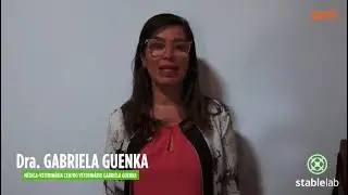STABLELAB - Depoimento: Médico Veterinário.