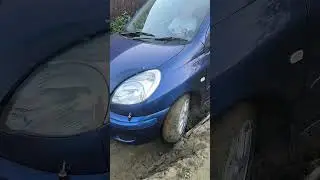 Мир не без добрых людей