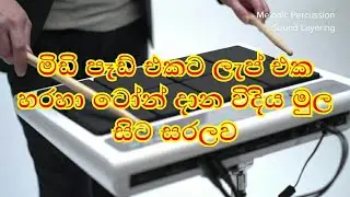 Fl studio midi pad tone project එක laptop එකට දාගන්න විදිය
