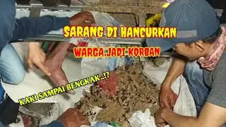WARNING‼️JANGAN ANGGAP REMEH//WARGA JADI KORBAN KEGANASAN TAWON