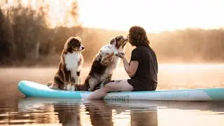 Stand Up Paddling mit Hund - Hundevideografie - SUP