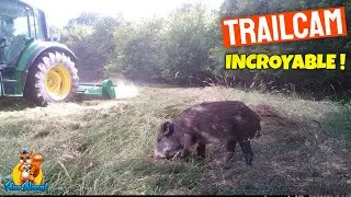VIDEO CAMÉRA CHASSE : que faire quand l'herbe est trop haute ?