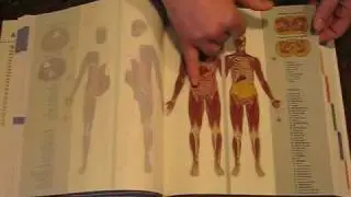 Clear View of the Human Body