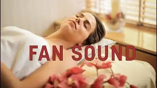 New Fan Noise | Sleep, Study, Focus | Reduce Stress | 8 Hrs Ambient