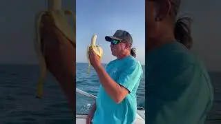 The bananas are not the problem #fishing #friends #boatlife #love #family #shorts #subscribe